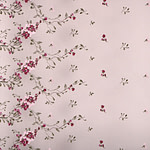 Laces-Embroidery Apparel Fabric TC001292