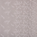 Laces-Embroidery Apparel Fabric TC001303