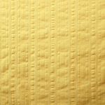 Shirting Apparel Fabric UN001448