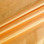Weaves Plain Apparel Fabric UN001483