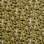 Tessuto Batik Print ST000403 per Abbigliamento