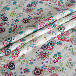Paisley Print Apparel Fabric ST000546