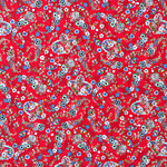 Paisley Print Apparel Fabric ST000548