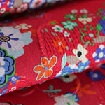 Paisley Print Apparel Fabric ST000548