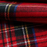 Tartan Tartan - Madras Apparel Fabric TC000842
