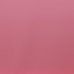Plain Apparel Fabric TC000913