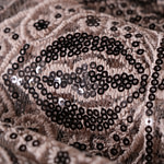 Laces-Embroidery Apparel Fabric TC000933
