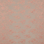Laces-Embroidery Apparel Fabric TC000973