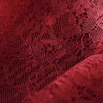 Laces-Embroidery Apparel Fabric TC001029
