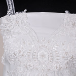 Laces-Embroidery Apparel Fabric ZC000014