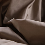 Oat beige taffeta fabric in pure silk | new tess