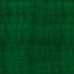 Green Silk and Viscose Velvet Fabric - 015