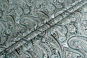 Paisley Print Apparel Fabric ST000774