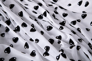 Laces-Embroidery Apparel Fabric TC000811