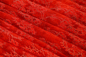 Laces-Embroidery Apparel Fabric TC000975