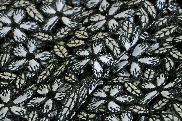 Black, White Polyester Apparel Fabric UN000903