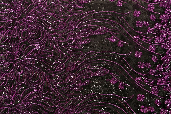 Laces-Embroidery Apparel Fabric TC000483