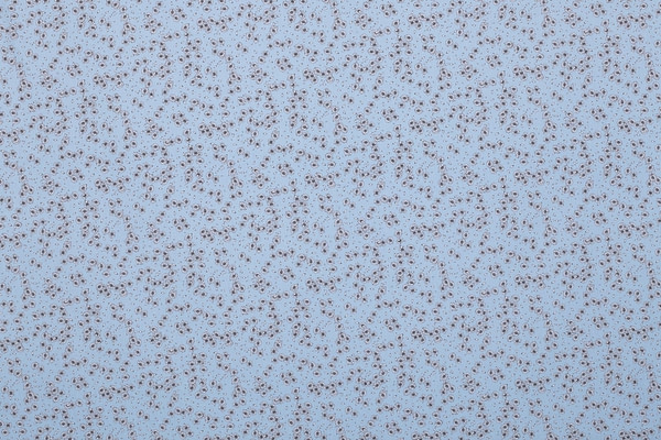 Floral cotton poplin fabric printed on a light blue background | new tess