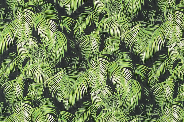Black, Green Cotton Cotton canvas Apparel Fabric ST000290