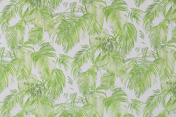 Tessuto Tela di cotone Bianco, Verde in Cotone per Abbigliamento ST000291