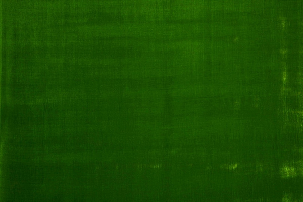 Velours de soie et viscose vert TC000020 pour habillement