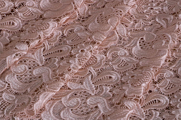 Laces-Embroidery Apparel Fabric TC000528