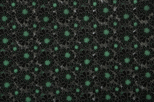 Flowers Laces-Embroidery Apparel Fabric UN001019