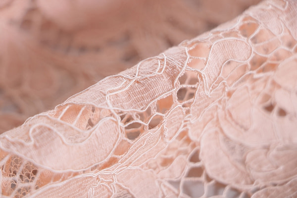 Tessuto Dentelle de Calais Rebrodé TC001148 per Abbigliamento