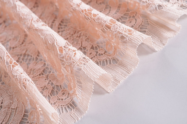 Tessuto Dentelle de Calais Rebrodé TC001148 per Abbigliamento