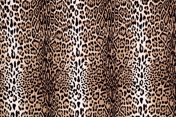 Print Apparel Fabric ST000950