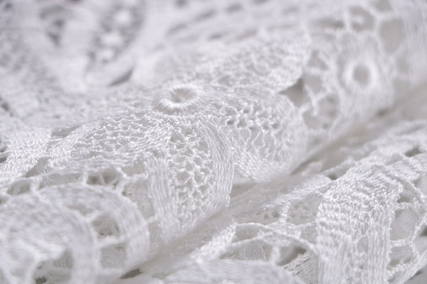 Laces-Embroidery Apparel Fabric TC001134