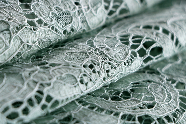 Laces-Embroidery Apparel Fabric TC001146