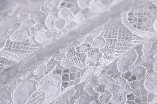 Tessuto pizzo rebrodé floreale bianco con doppio smerlo