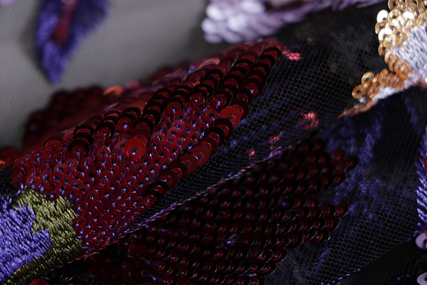 Laces-Embroidery Apparel Fabric TC001402