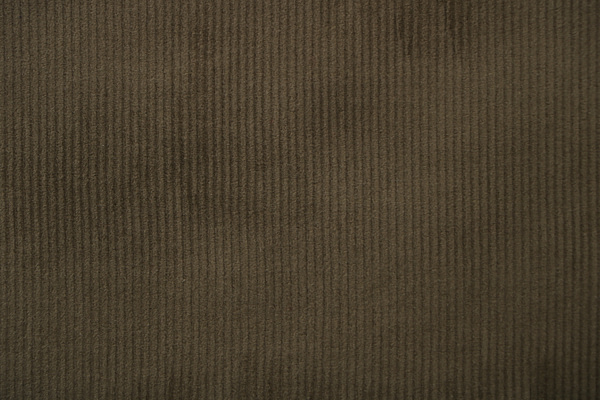 Velvet Apparel Fabric TC001442