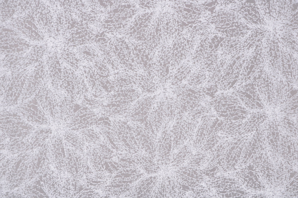 Laces-Embroidery Apparel Fabric TC001448