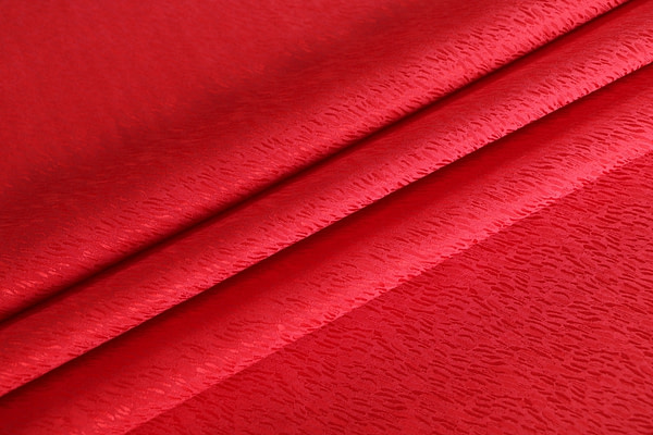 Jacquard Apparel Fabric UN001392