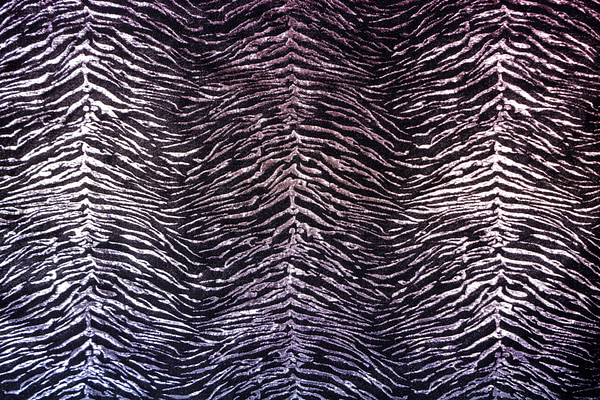 Jacquard Apparel Fabric UN001496