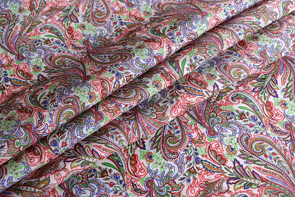 Paisley Print Apparel Fabric ST000521