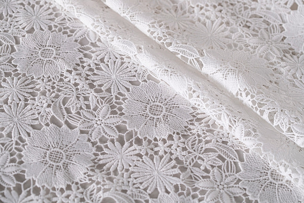 Laces-Embroidery Apparel Fabric TC000779