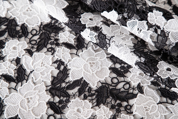Flowers Laces-Embroidery Apparel Fabric TC000801