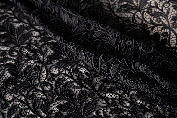 Laces-Embroidery Apparel Fabric TC000802