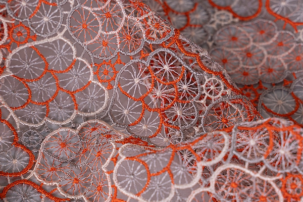 Laces-Embroidery Apparel Fabric TC000829