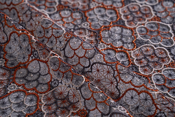 Laces-Embroidery Apparel Fabric TC000830