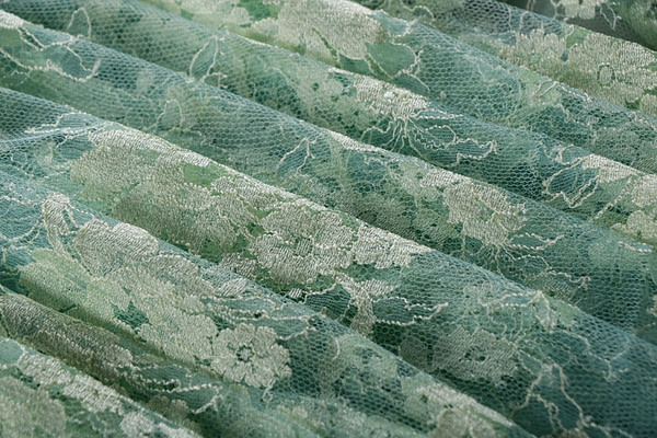 Laces-Embroidery Apparel Fabric TC000963