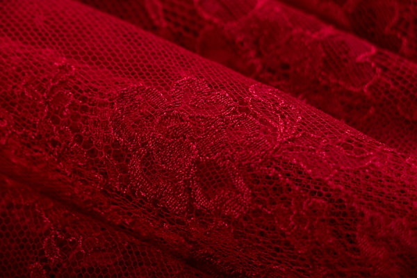Flowers Laces-Embroidery Apparel Fabric TC000970
