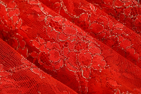 Laces-Embroidery Apparel Fabric TC000975
