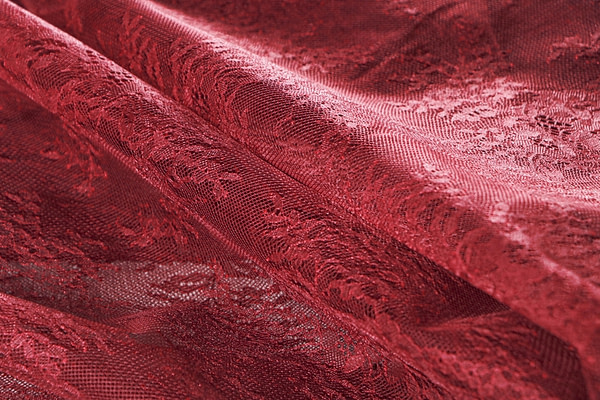 Laces-Embroidery Apparel Fabric TC001029