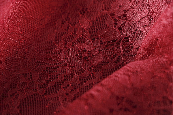 Laces-Embroidery Apparel Fabric TC001029