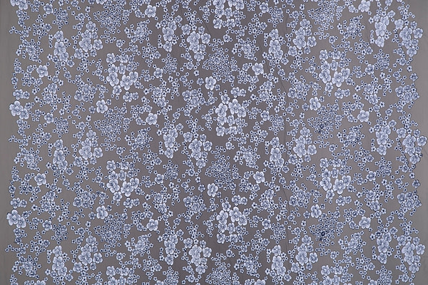 Flowers Laces-Embroidery Apparel Fabric UN001181